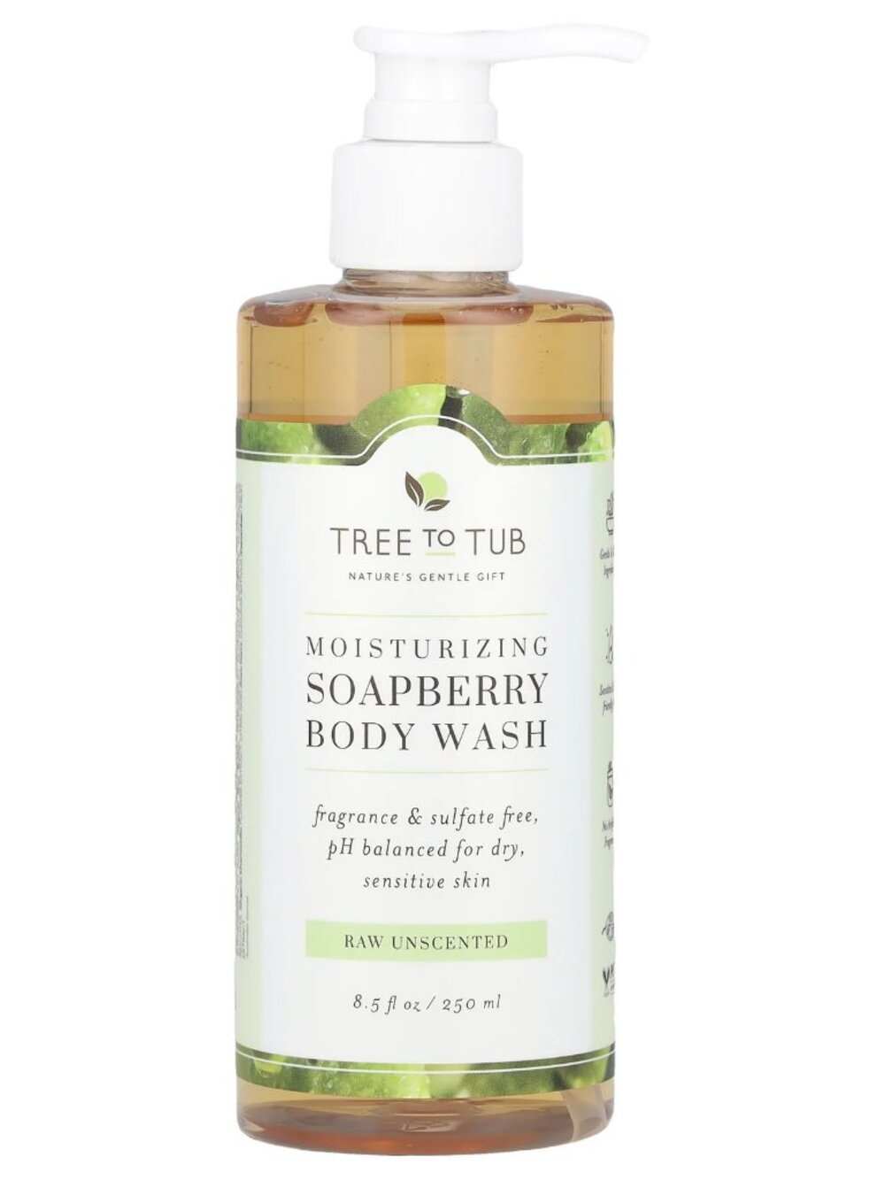 Moisturizing Soapberry Body Wash, Raw Unscented , 8.5 fl oz (250 ml)